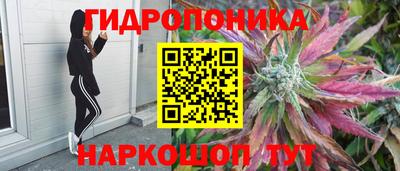 дурь Пыть-Ях